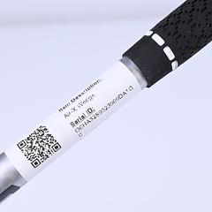 Ladies Left Hand Cobra Air-X Sand Wedge / 55 Degree / Ladies Flex Cobra 45 Shaft - Image 5