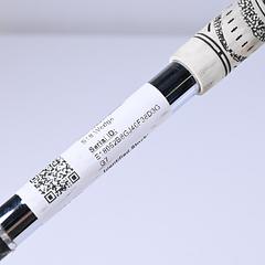 Mizuno S18 Sand Wedge / 54 Degree / Regular Flex Dynamic Gold Shaft - Image 6