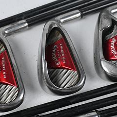 Callaway Big Bertha 2008 Irons / 3-PW+SW / Regular Flex Callaway 75 Shafts - Image 1