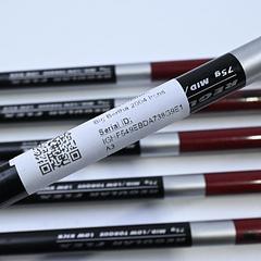 Callaway Big Bertha 2004 Irons / 5-PW+SW / Regular Flex Callaway 75 Shafts - Image 6