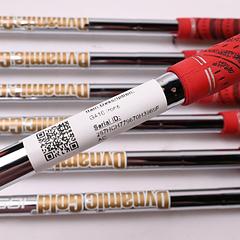 Ping G410 Irons / 5-PW+GW / Red Dot / Regular Flex Dynamic Gold 105 R300 Shafts - Image 6