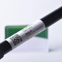 Titleist TSR3 #3 Hybrid / 19 Degree / X-Flex Hzrdus Black 80 Shaft - Image 7